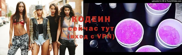 дживик Краснослободск