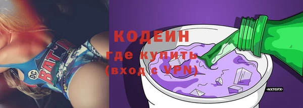 дживик Краснослободск