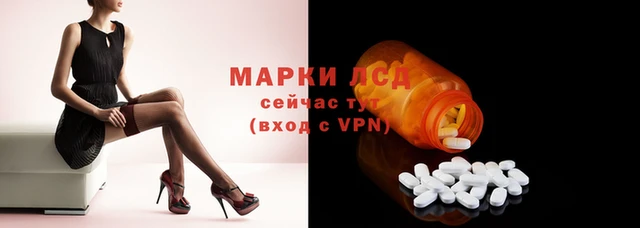 дживик Краснослободск