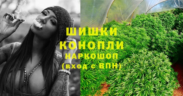дживик Краснослободск
