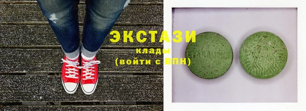дживик Краснослободск