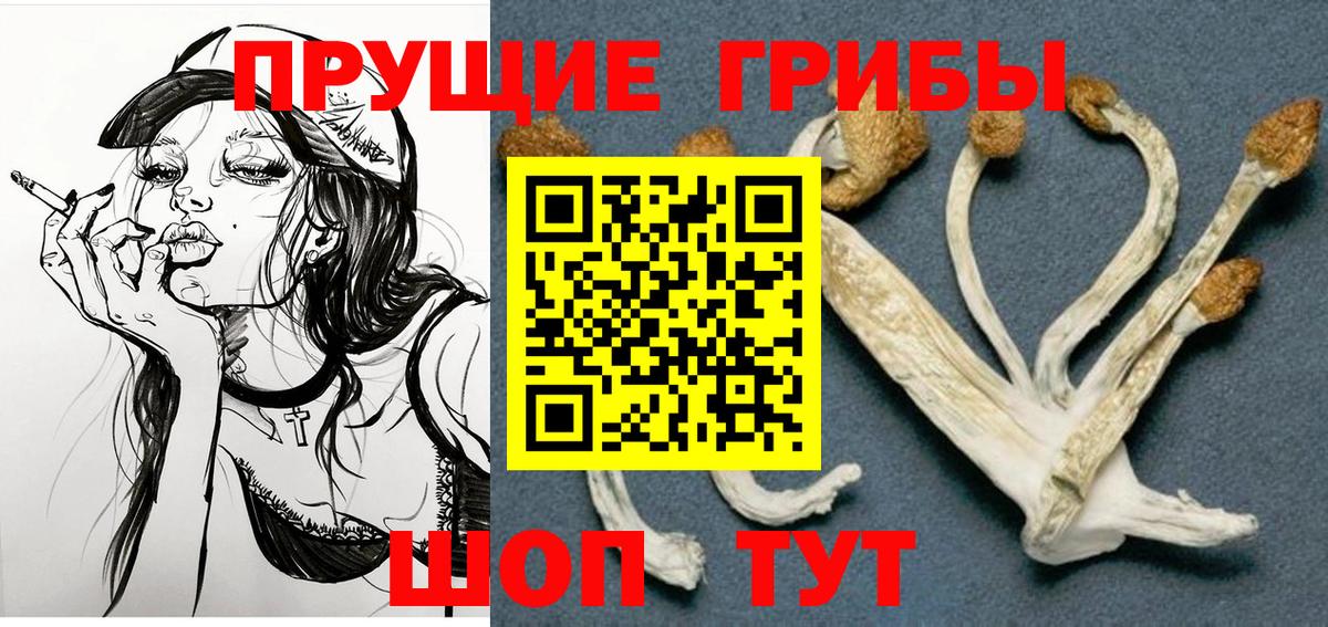 Галлюциногенные грибы Северодвинск